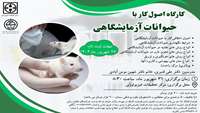 کارگاه اصول کار با حیوانات آزمایشگاهی 