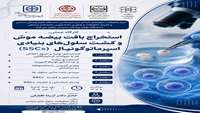 استخراج بافت بیضه موش و استخراج سلول‌های اسپرماتوگونیال