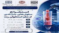 استخراج سلول های بنیادی از مغز استخوان رت