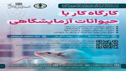 کارگاه کار با حیوانات ازمایشگاهی