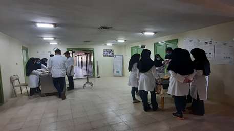 گزارش تصویری کارگاه کار با حیوانات آزمایشگاهی اردیبهشت 1402