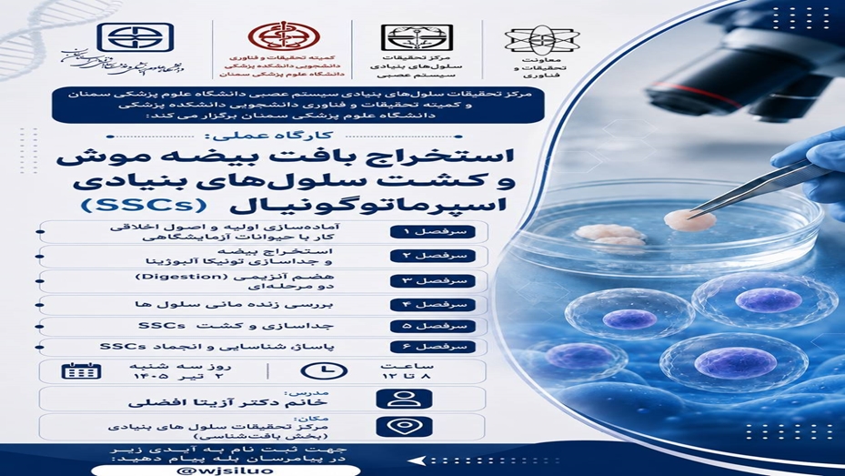 استخراج بافت بیضه موش و استخراج سلول‌های اسپرماتوگونیال